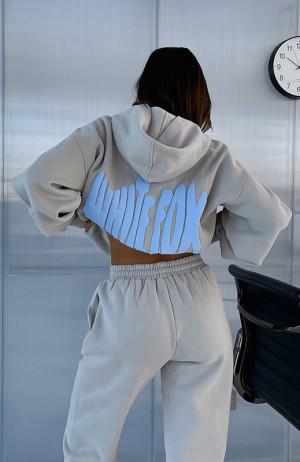 Women's White Fox Archive 6.0 Oversized Hoodie Grey | ATYC-19063