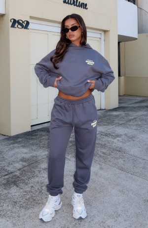 Women's White Fox Comfort Club Sweatpants Grey | SYJC-87152