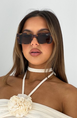 Women's White Fox Roberta Sunglasses Brown | VNYW-52609