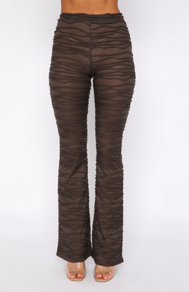 Women's White Fox It's Settled Pants Chocolate | IATM-10896