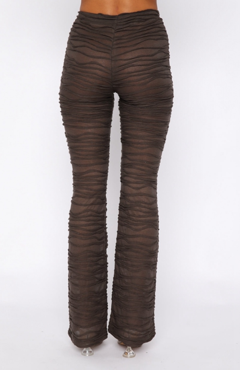 Women's White Fox It's Settled Pants Chocolate | IATM-10896