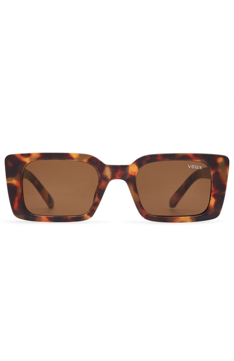 Women's White Fox Roberta Sunglasses Brown | VNYW-52609